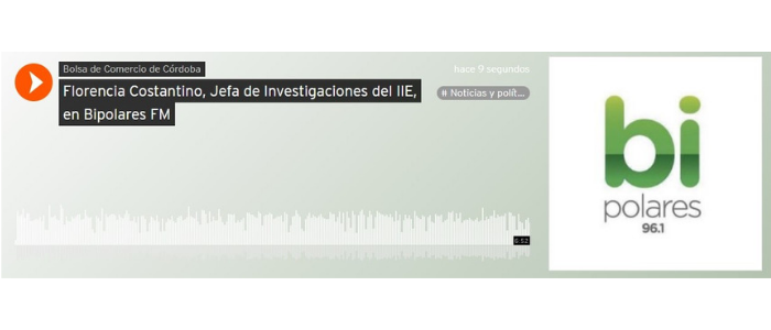 Florencia Costantino, Jefa de Investigaciones del IIE, en Bipolares FM